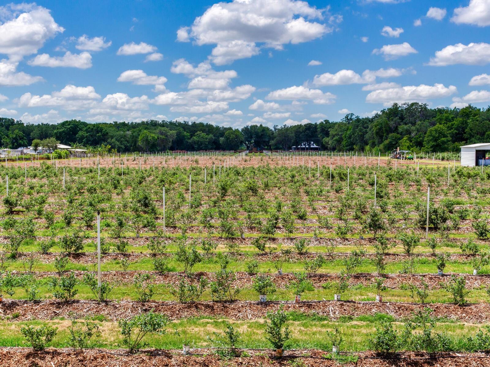 Image 63 of 76 For 3674 State Road 64