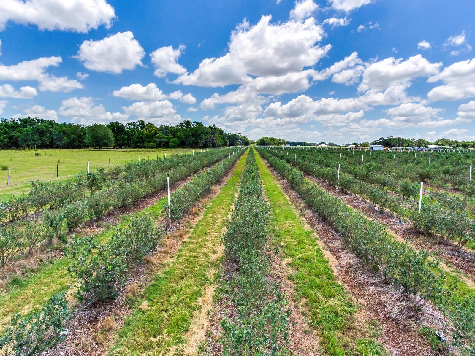 Image 64 of 76 For 3674 State Road 64