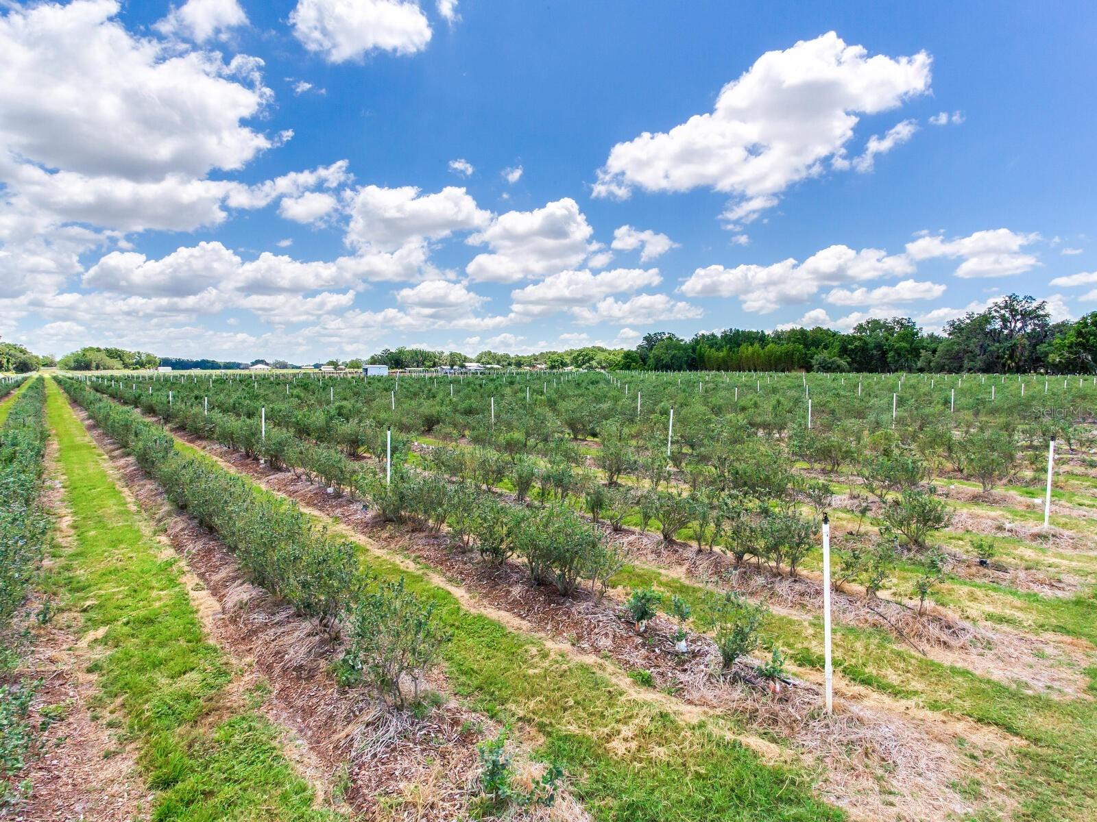 Image 65 of 76 For 3674 State Road 64