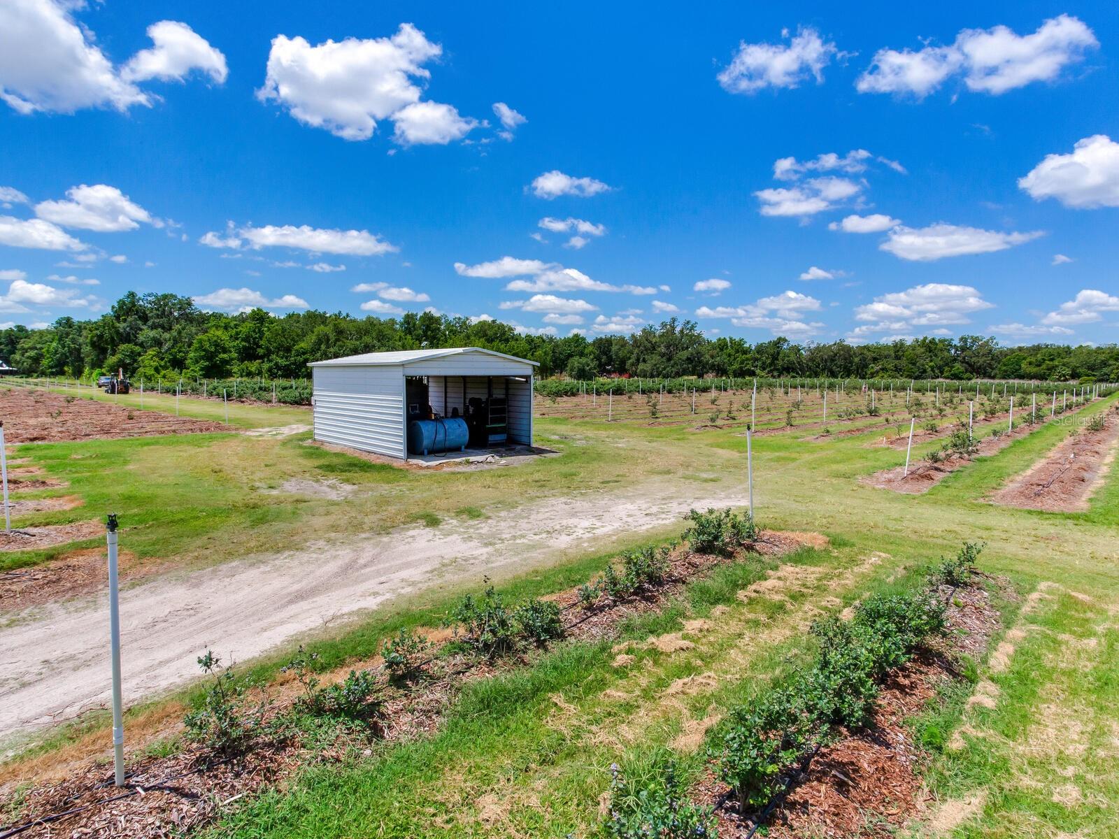 Image 68 of 76 For 3674 State Road 64