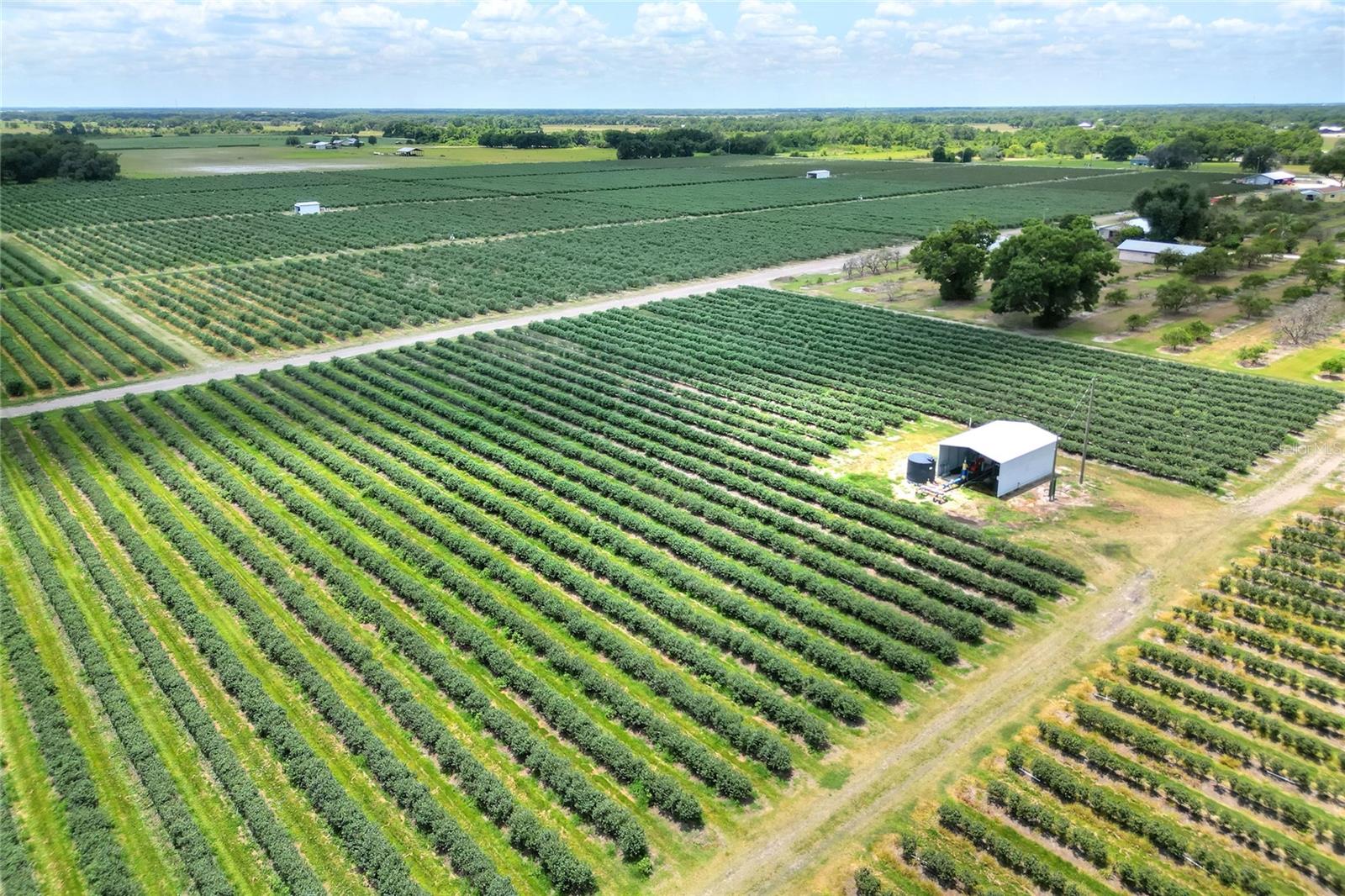 Image 7 of 76 For 3674 State Road 64