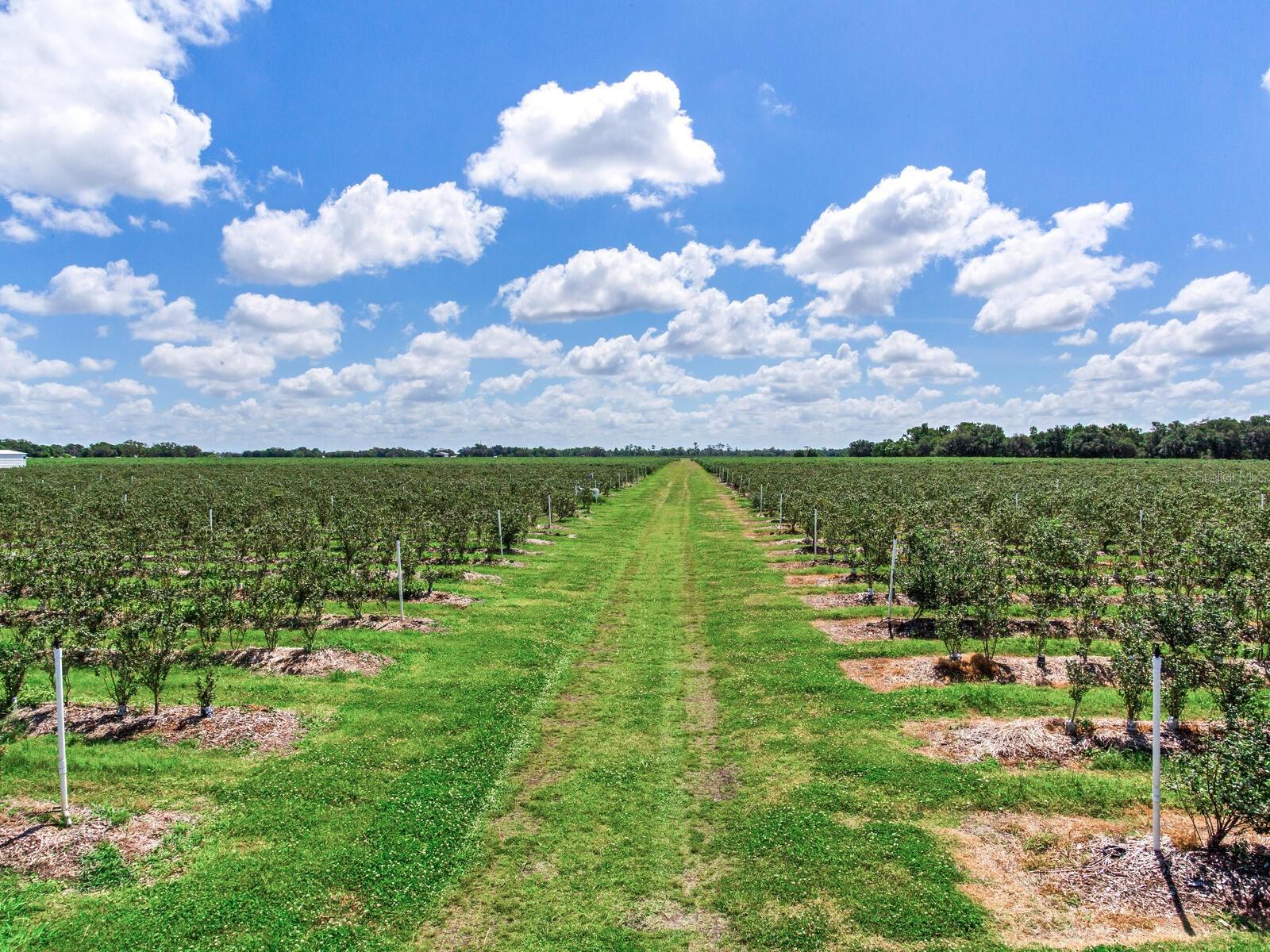 Image 9 of 76 For 3674 State Road 64