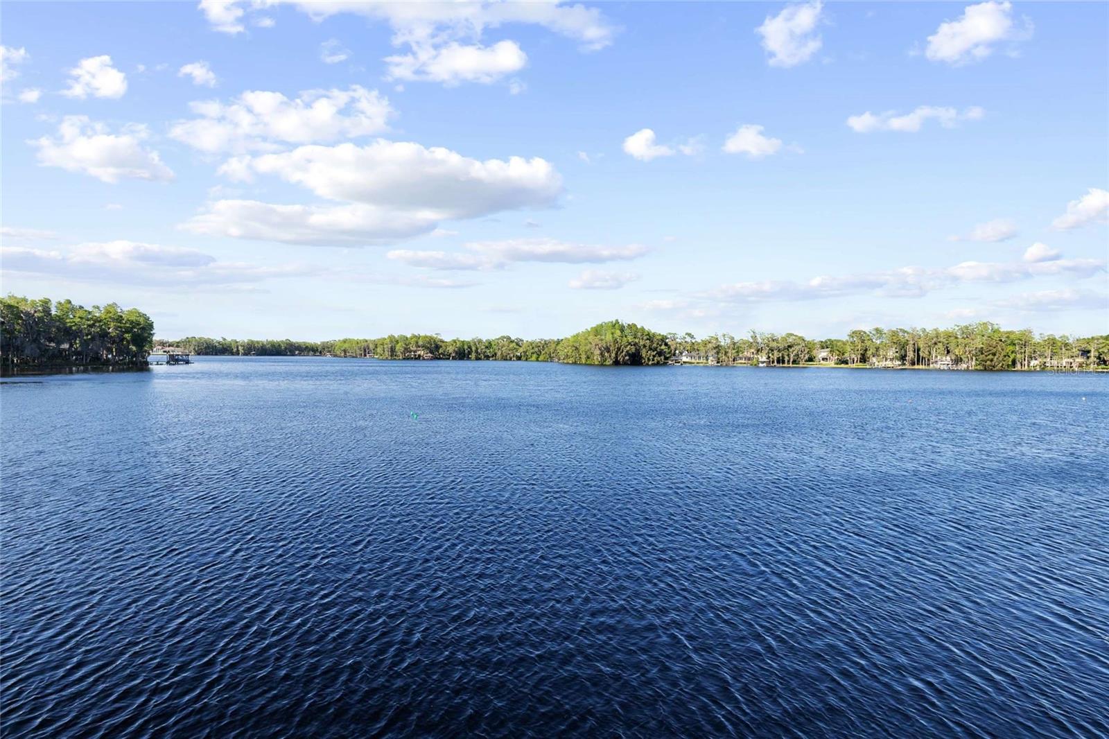 Image 74 of 91 For 9901 Menander Wood Court