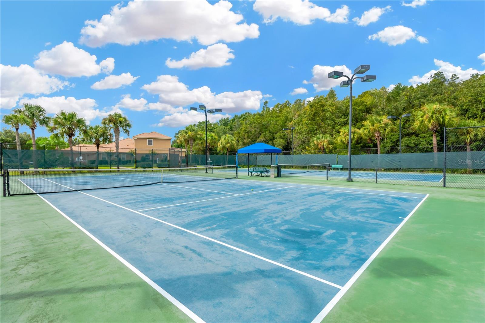 Image 35 of 43 For 8307 Manor Club Circle 1