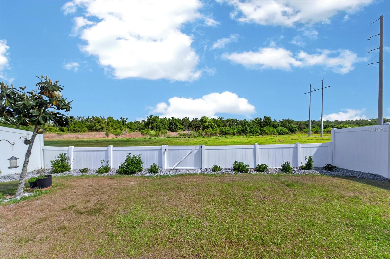 Image 51 of 91 For 11176 Leland Groves Drive