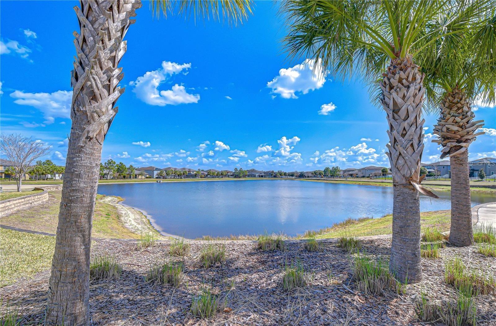 Image 73 of 91 For 11176 Leland Groves Drive