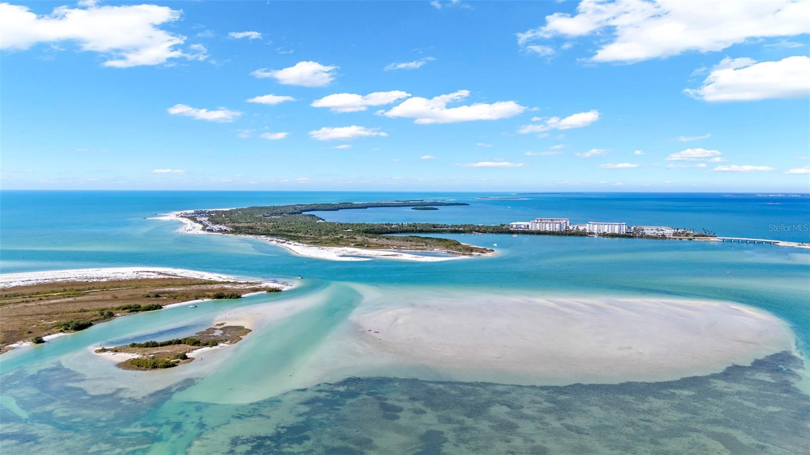 Image 51 of 86 For 439 Causeway Boulevard