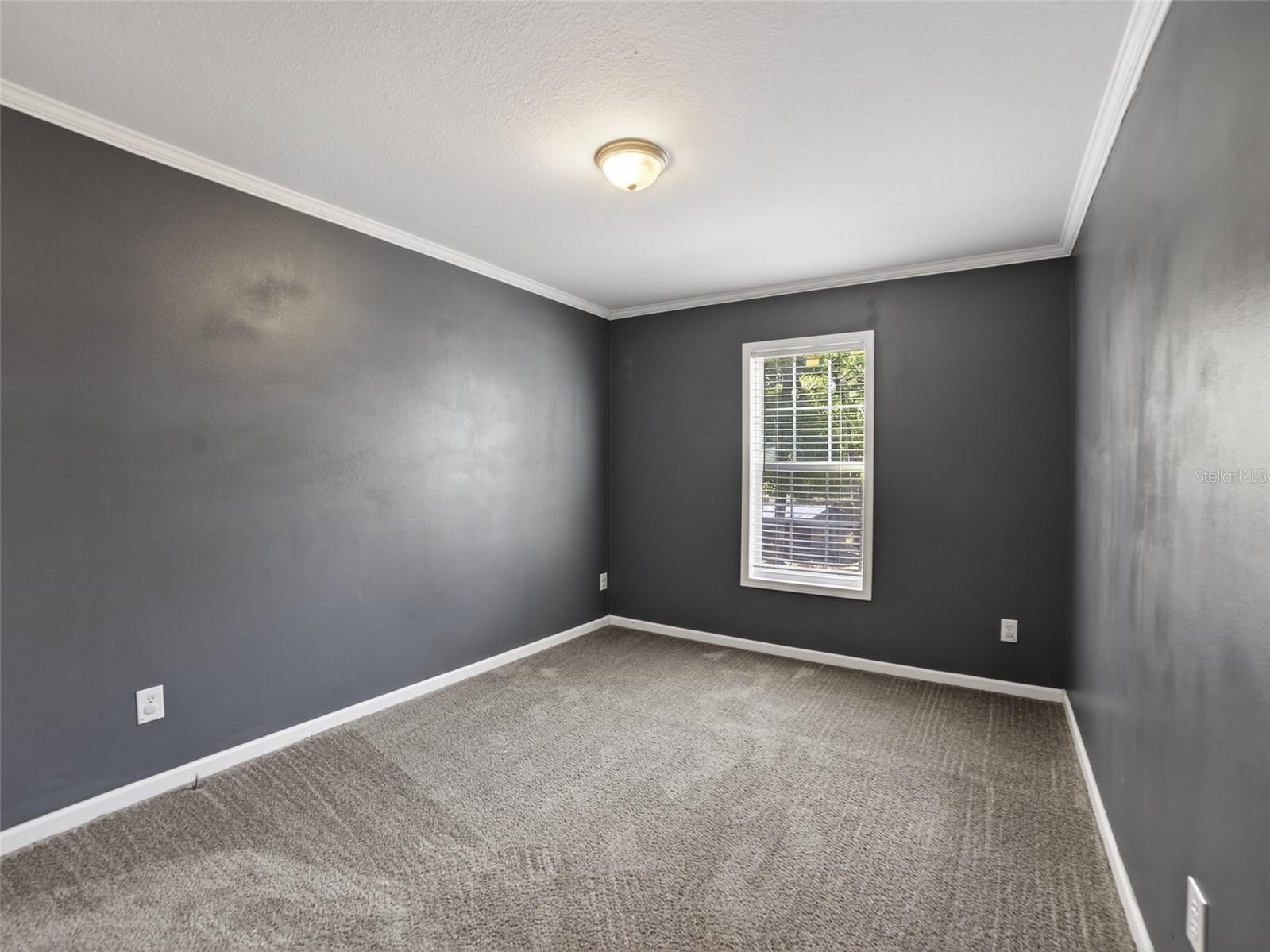 Image 19 of 47 For 34938 Punch Road