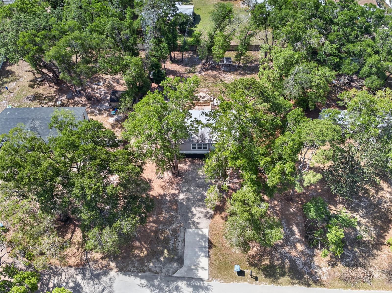 Image 44 of 47 For 34938 Punch Road