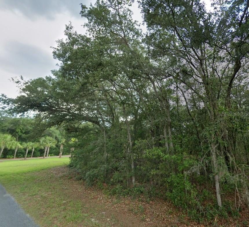 Details for 1449 Wedgewood Lane, HERNANDO, FL 34442