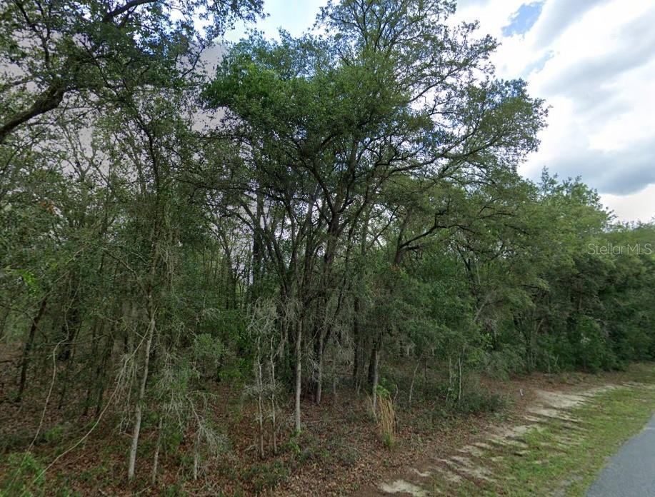 Image 2 of 3 For 1449 Wedgewood Lane