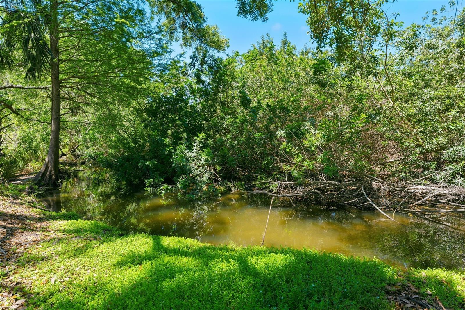 Image 56 of 66 For 1360 Sago Court