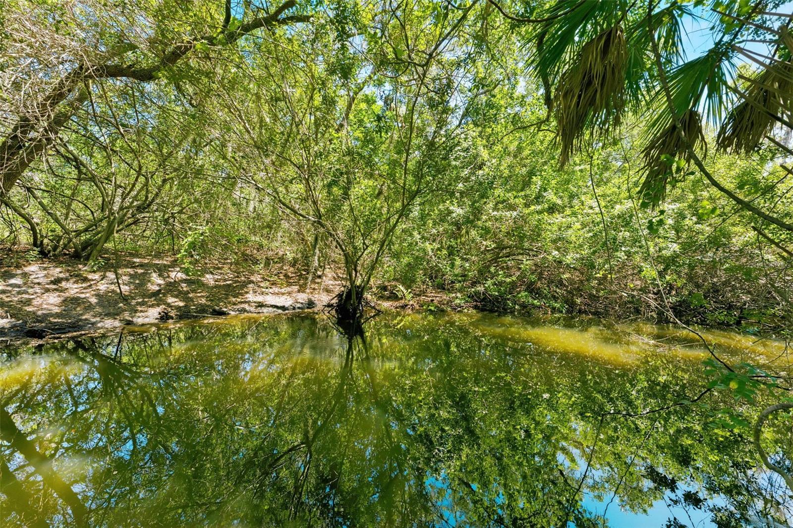 Image 57 of 66 For 1360 Sago Court