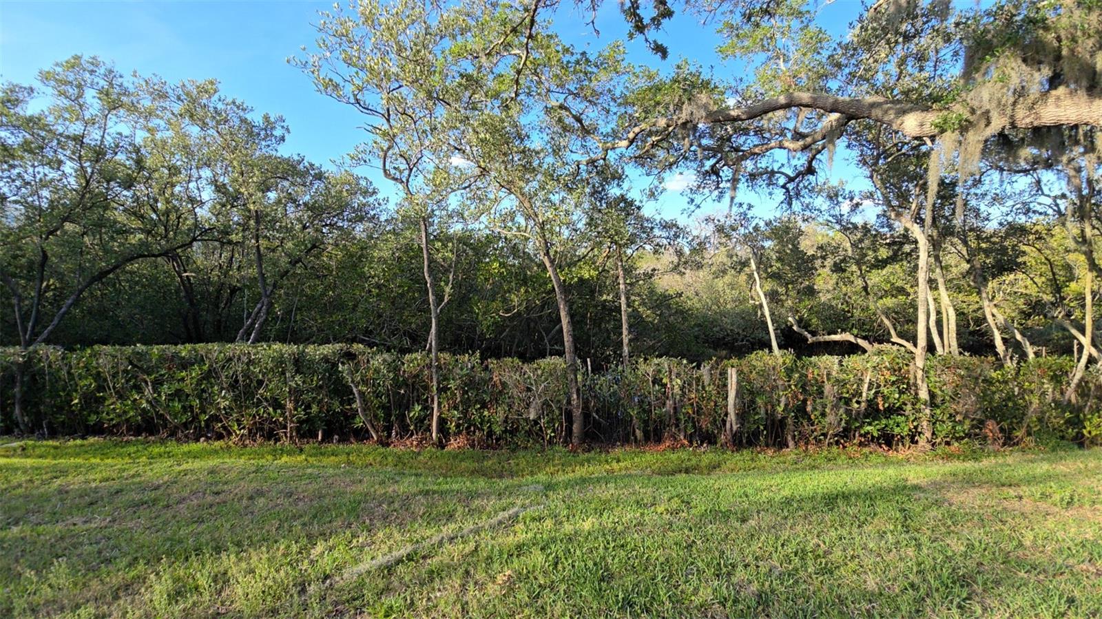 Image 14 of 14 For 4849 Onyx Lane 101