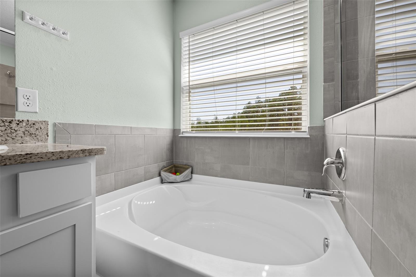 Image 35 of 69 For 8693 Bower Bass Circle