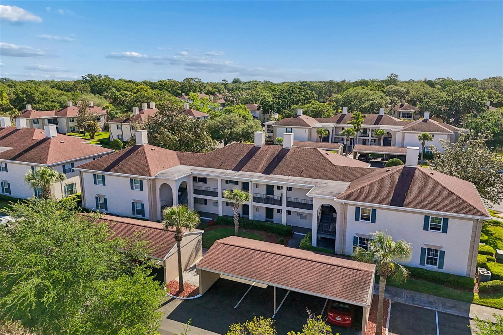 Image 39 of 52 For 10314 Carrollwood Court 56