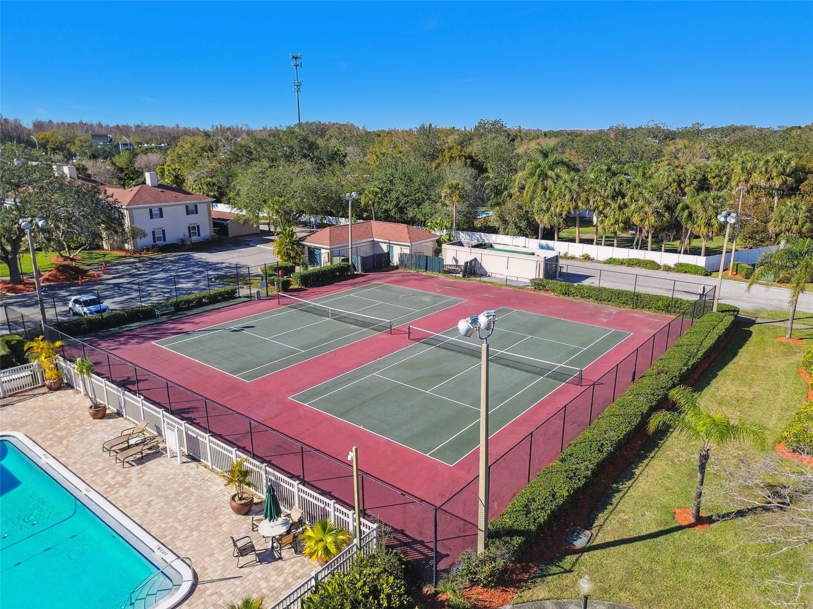 Image 46 of 52 For 10314 Carrollwood Court 56