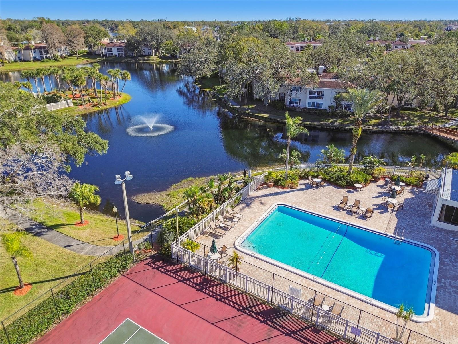 Image 47 of 52 For 10314 Carrollwood Court 56