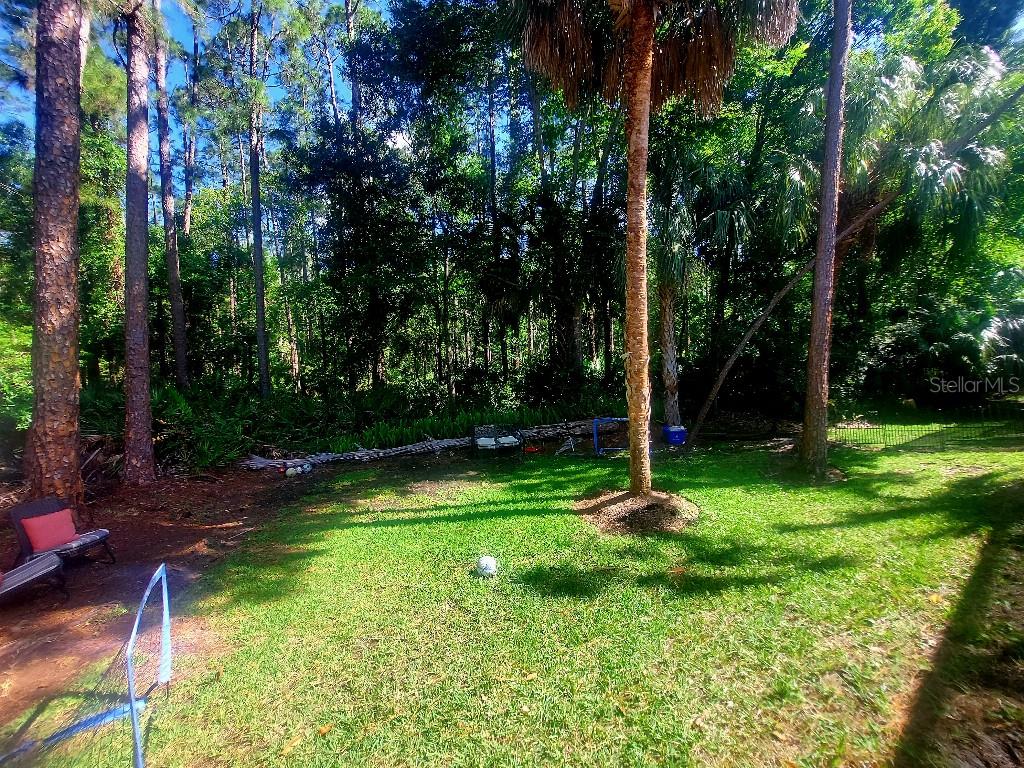 Listing photo id 32 for 9820 Gretna Green Drive