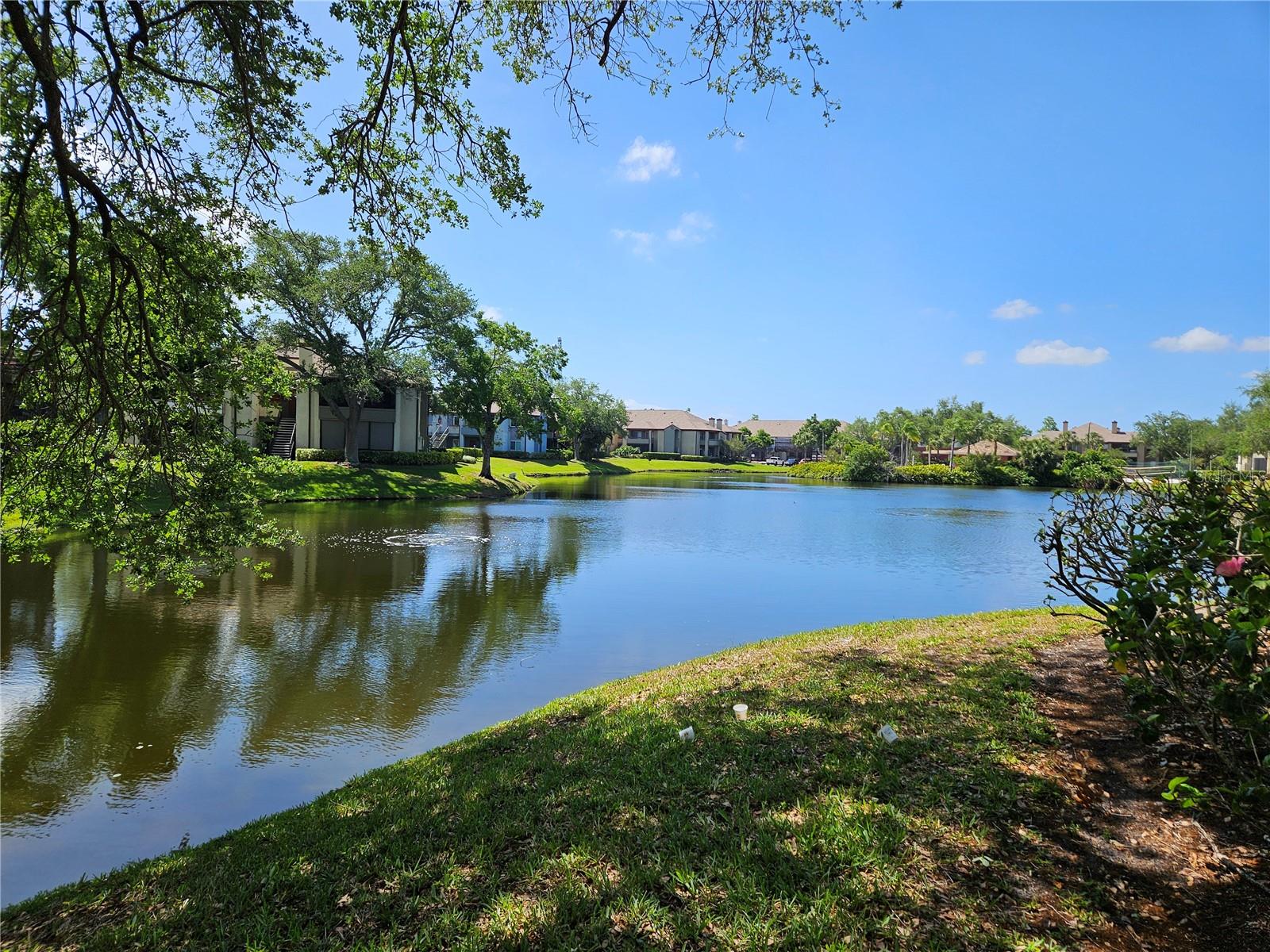 Image 26 of 28 For 10265 Gandy Boulevard N 1003