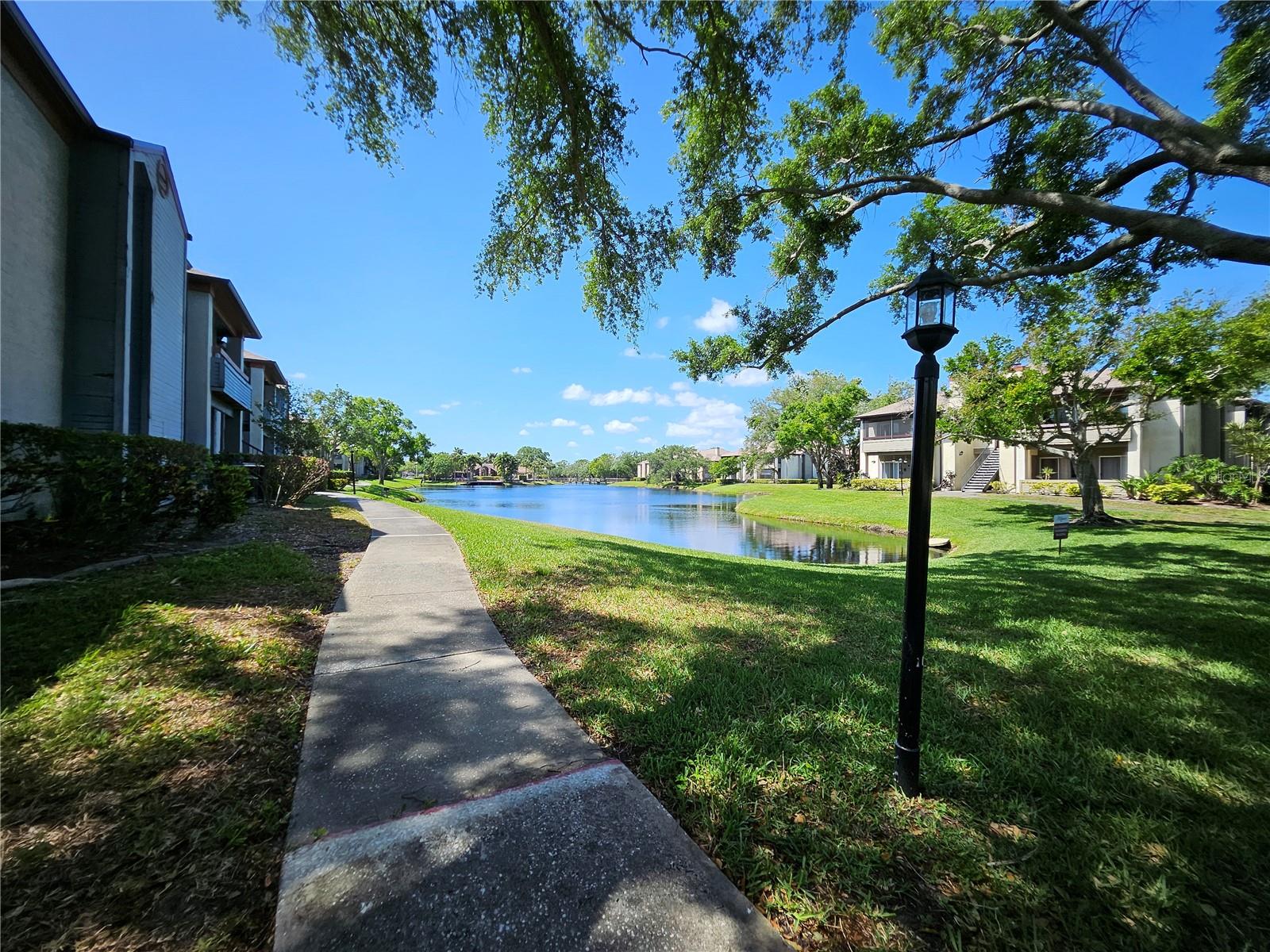 Image 27 of 28 For 10265 Gandy Boulevard N 1003