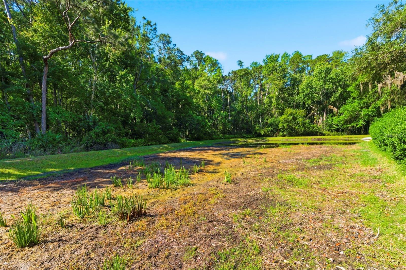 Image 47 of 66 For 4356 Ellinwood Boulevard