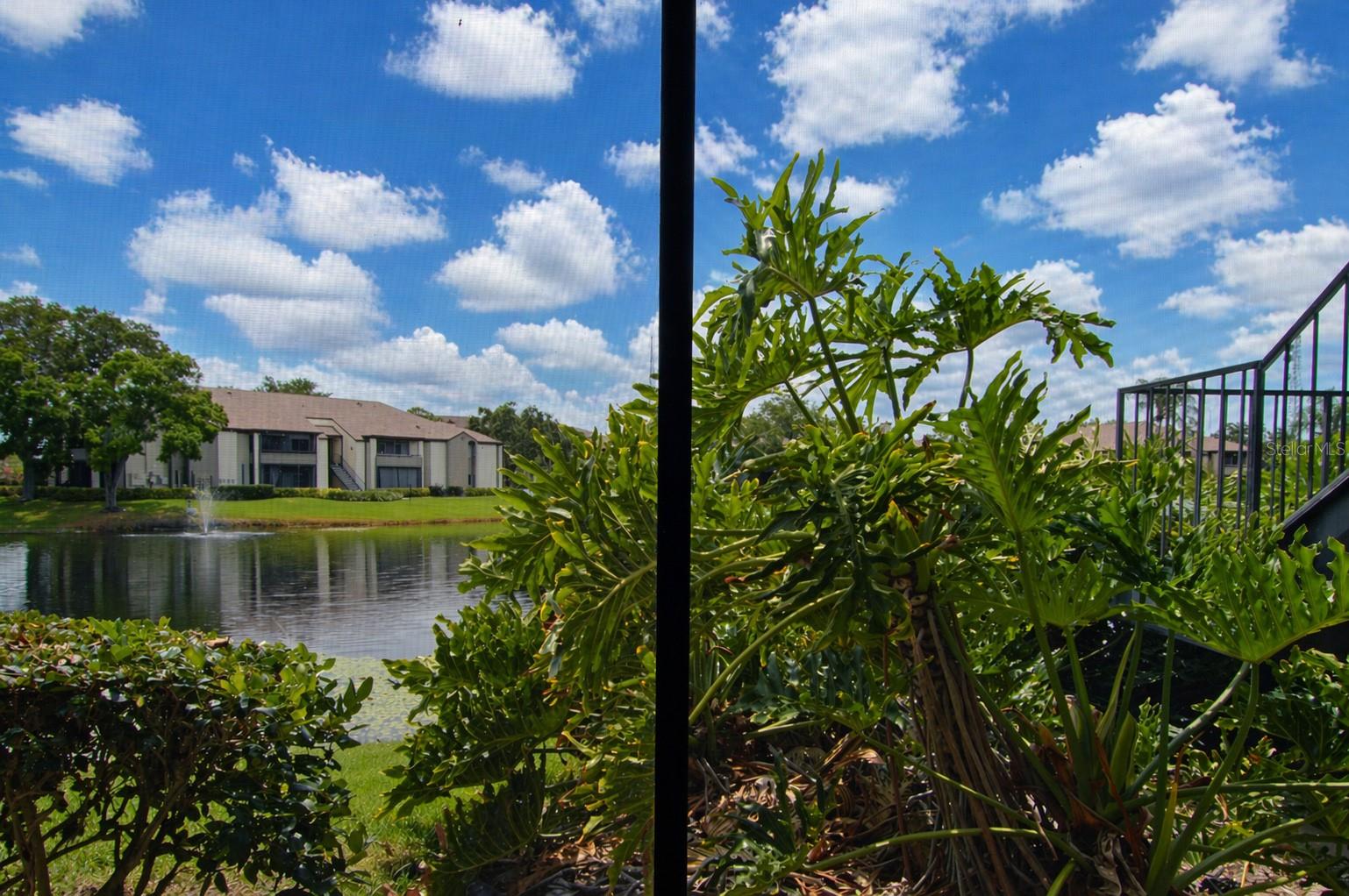 Image 43 of 95 For 10265 Gandy Boulevard N 1511