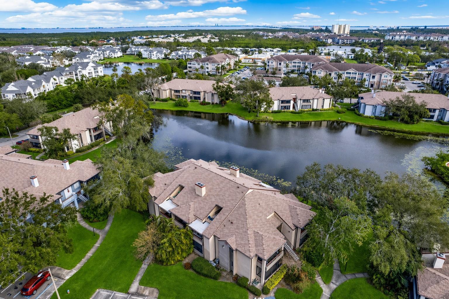 Image 47 of 95 For 10265 Gandy Boulevard N 1511