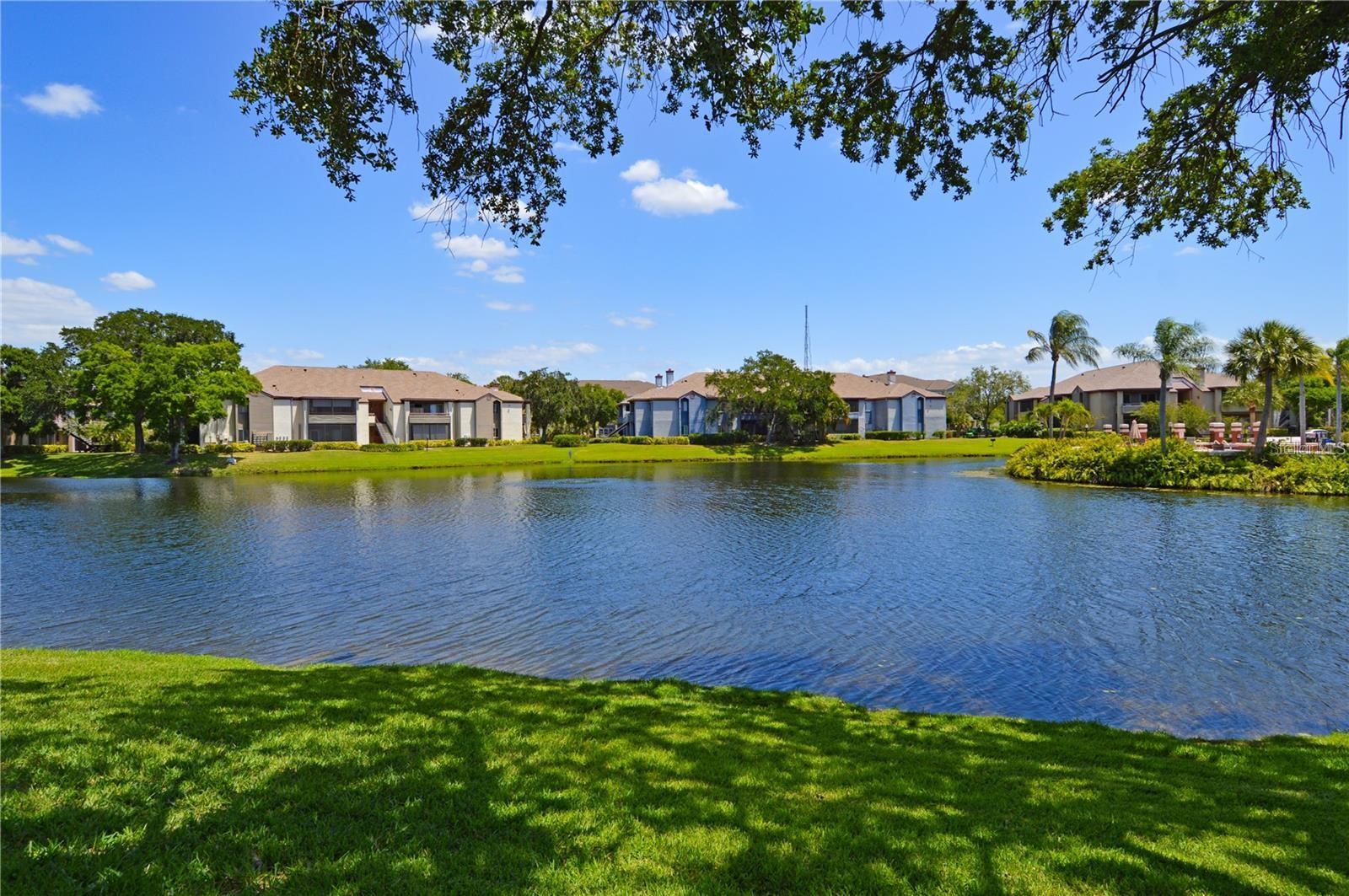 Image 48 of 95 For 10265 Gandy Boulevard N 1511