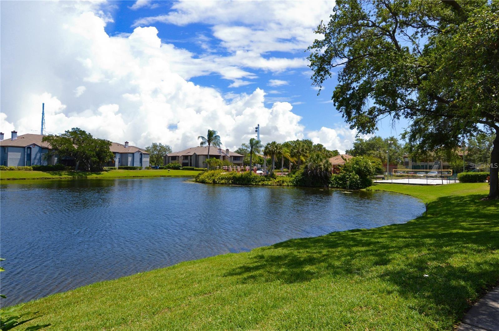 Image 49 of 95 For 10265 Gandy Boulevard N 1511