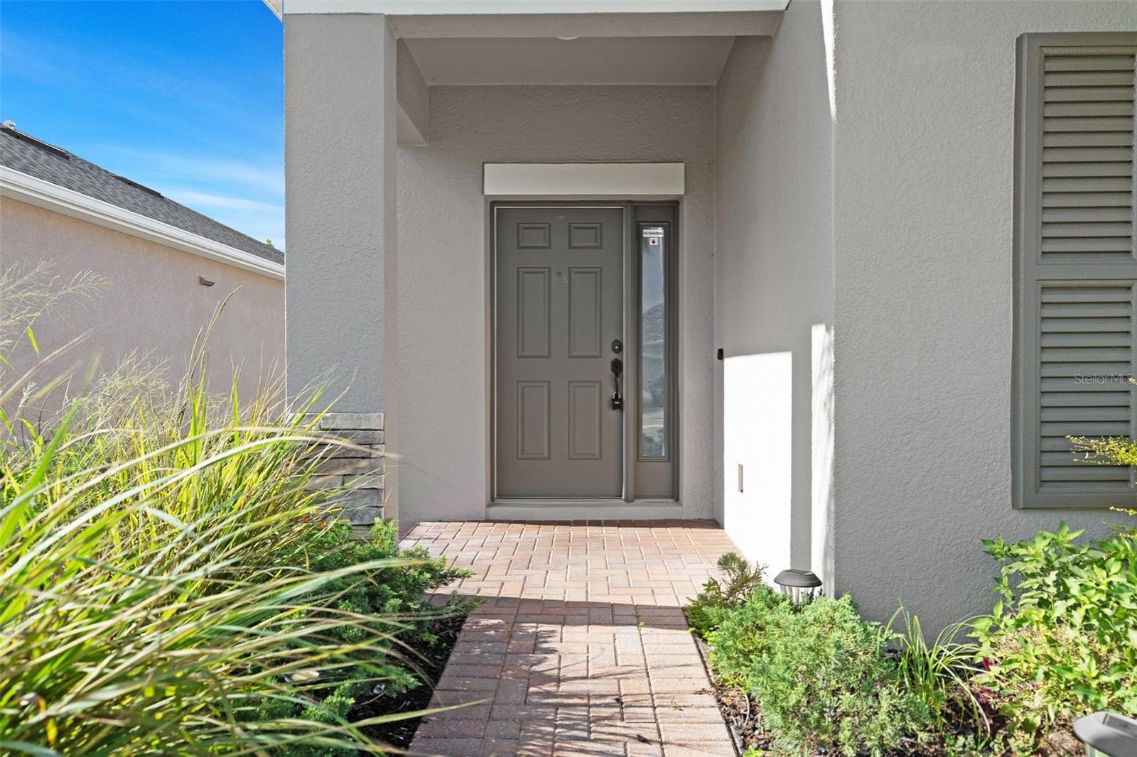 Image 2 of 46 For 1099 Multiflora Loop