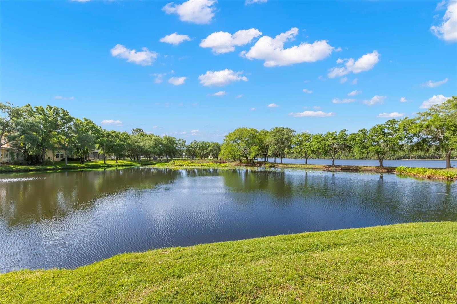 Image 23 of 81 For 11732 Casa Lago Lane