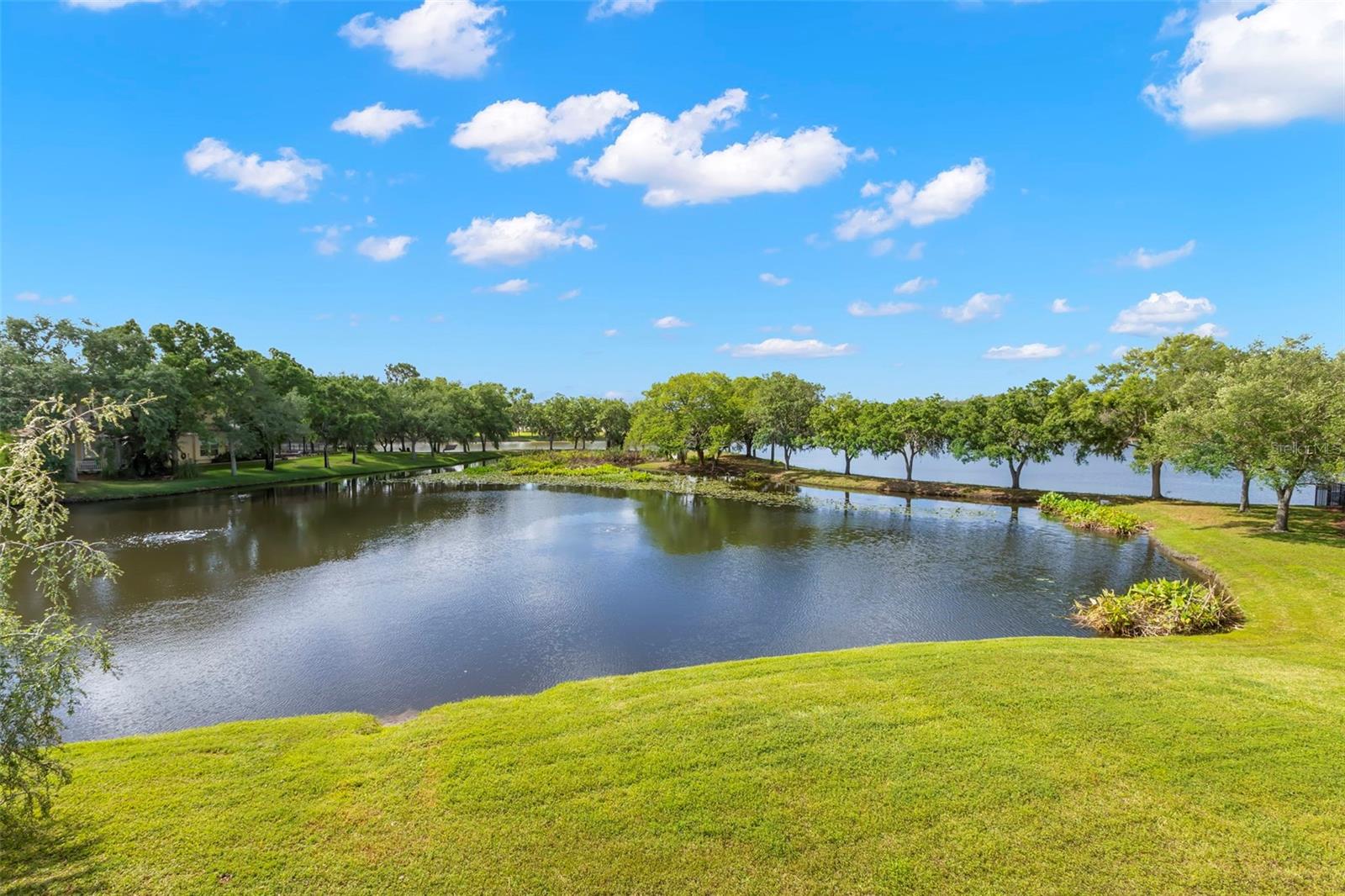 Image 39 of 81 For 11732 Casa Lago Lane