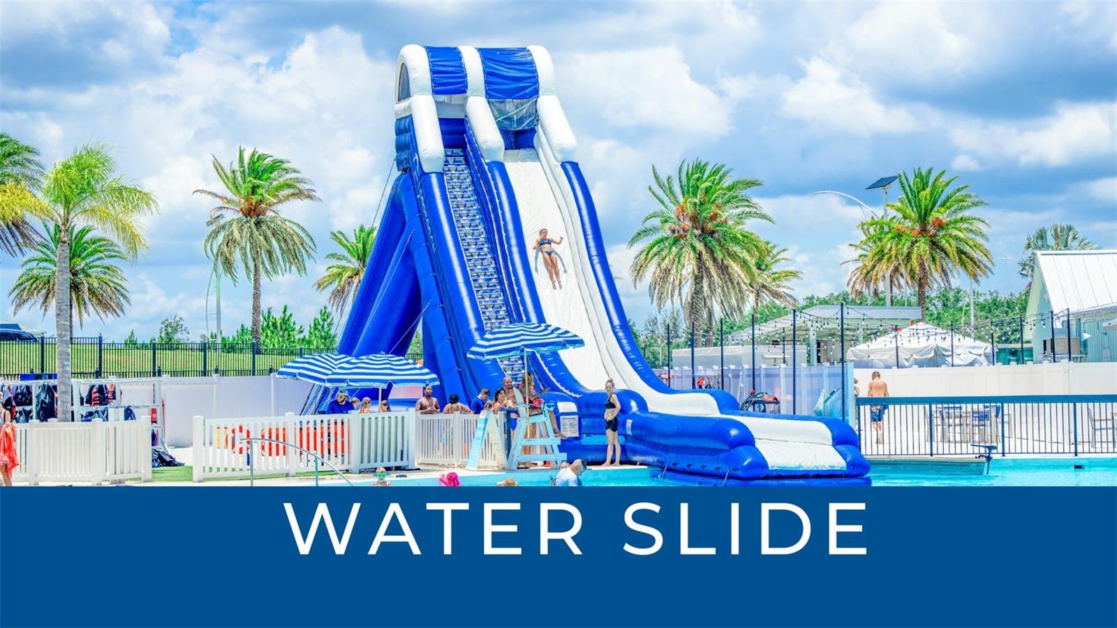 Image 9 of 10 For 10126 Branching Ship Trace