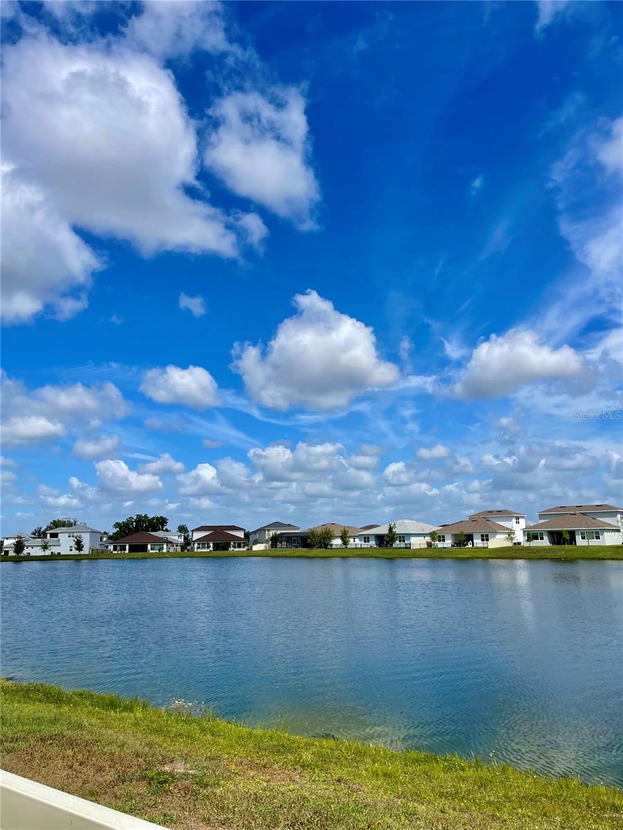 Image 47 of 49 For 8486 Ivy Stark Boulevard