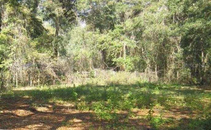 Image 4 of 4 For 2285 65th Place