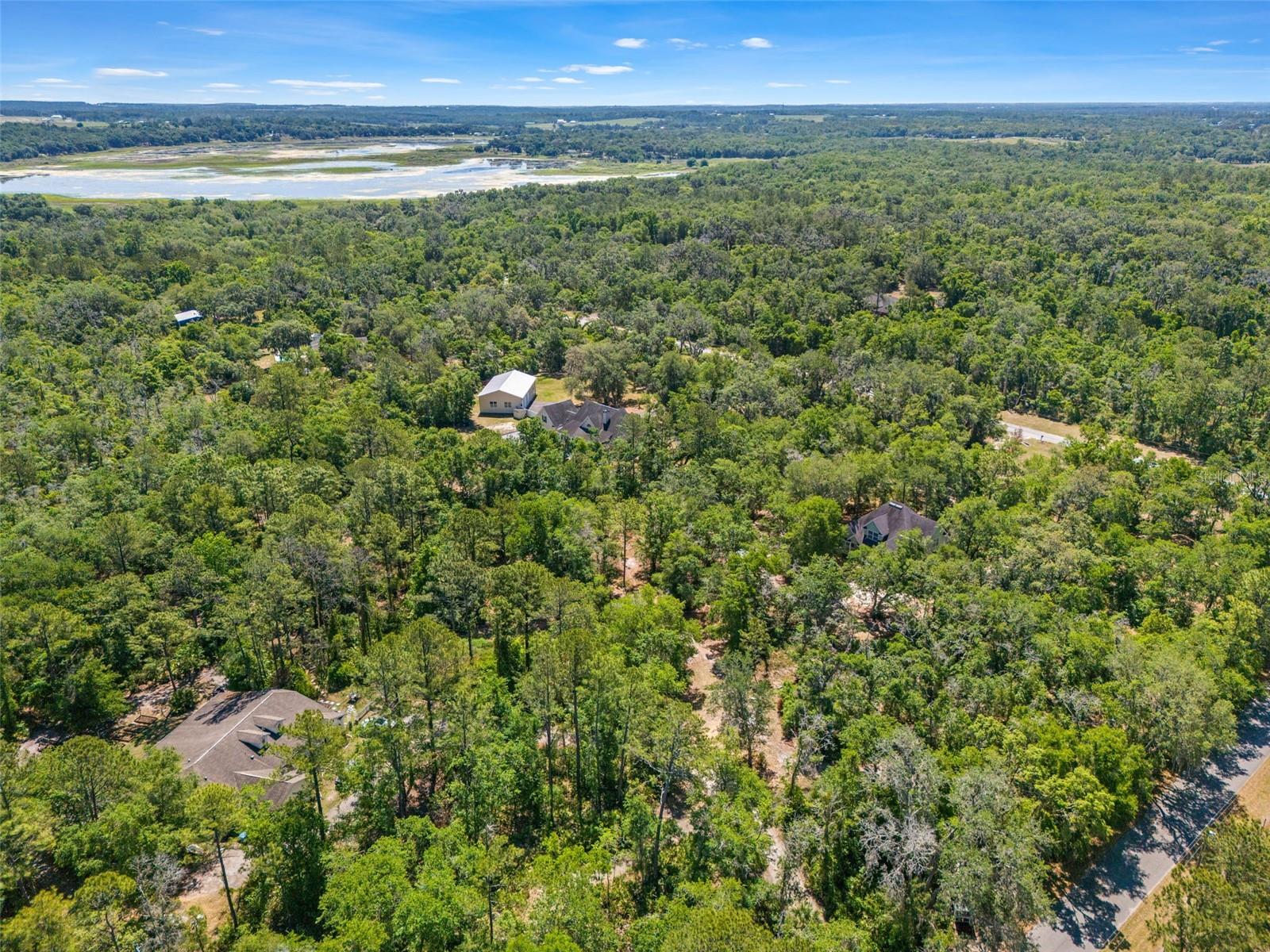 Image 56 of 62 For 23305 June Bug Trail