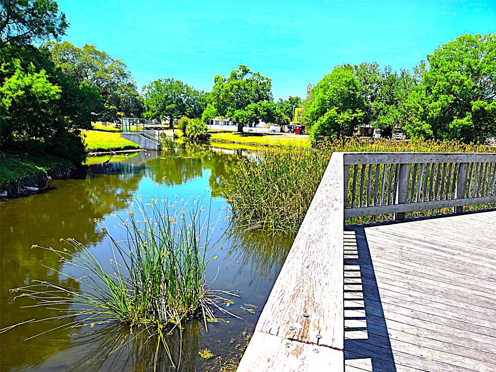 Image 36 of 44 For 5105 Tangerine Avenue S