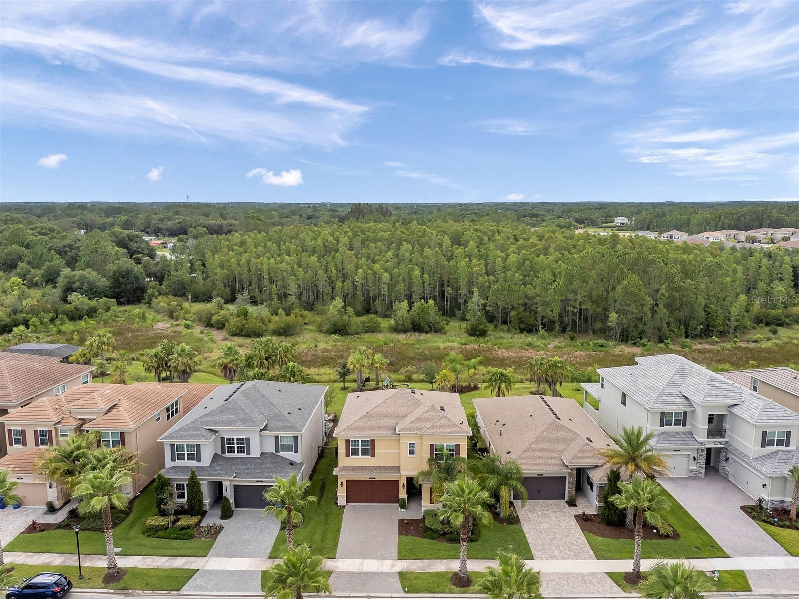 Image 64 of 77 For 32203 Mahogany Valley Drive