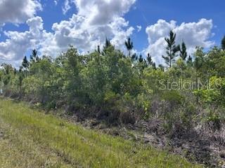 Listing Details for 115 Japonica Avenue, INDIAN LAKE ESTATES, FL 33855
