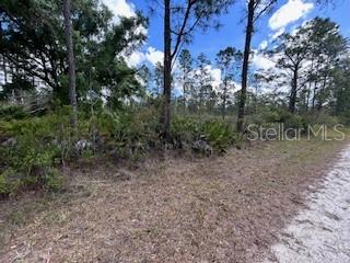 Listing Details for 622 Laguna Drive, INDIAN LAKE ESTATES, FL 33855