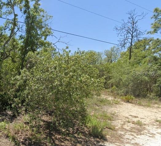 Image 3 of 3 For 5276 Winter Sun Lane