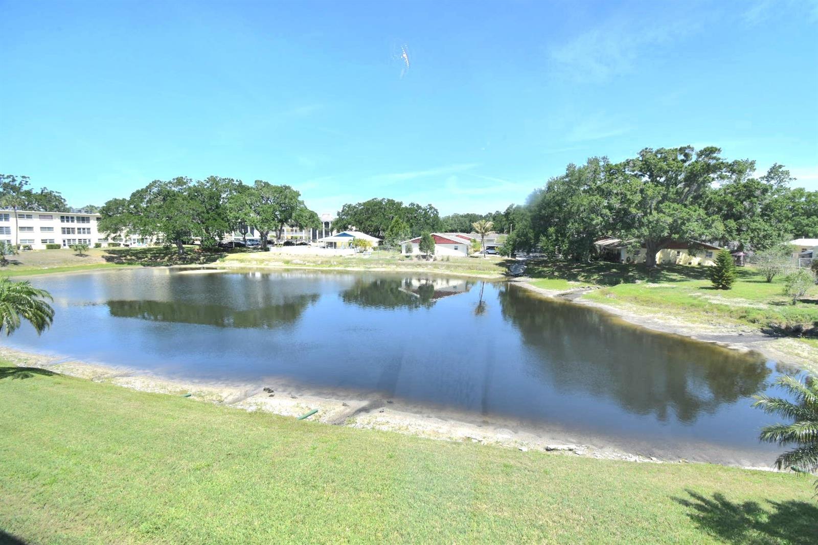 Image 11 of 22 For 936 Virginia Street 206