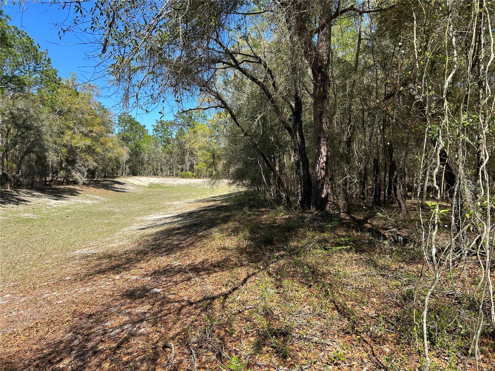 Image 4 of 8 For Lot 23 Sw 181st Cir