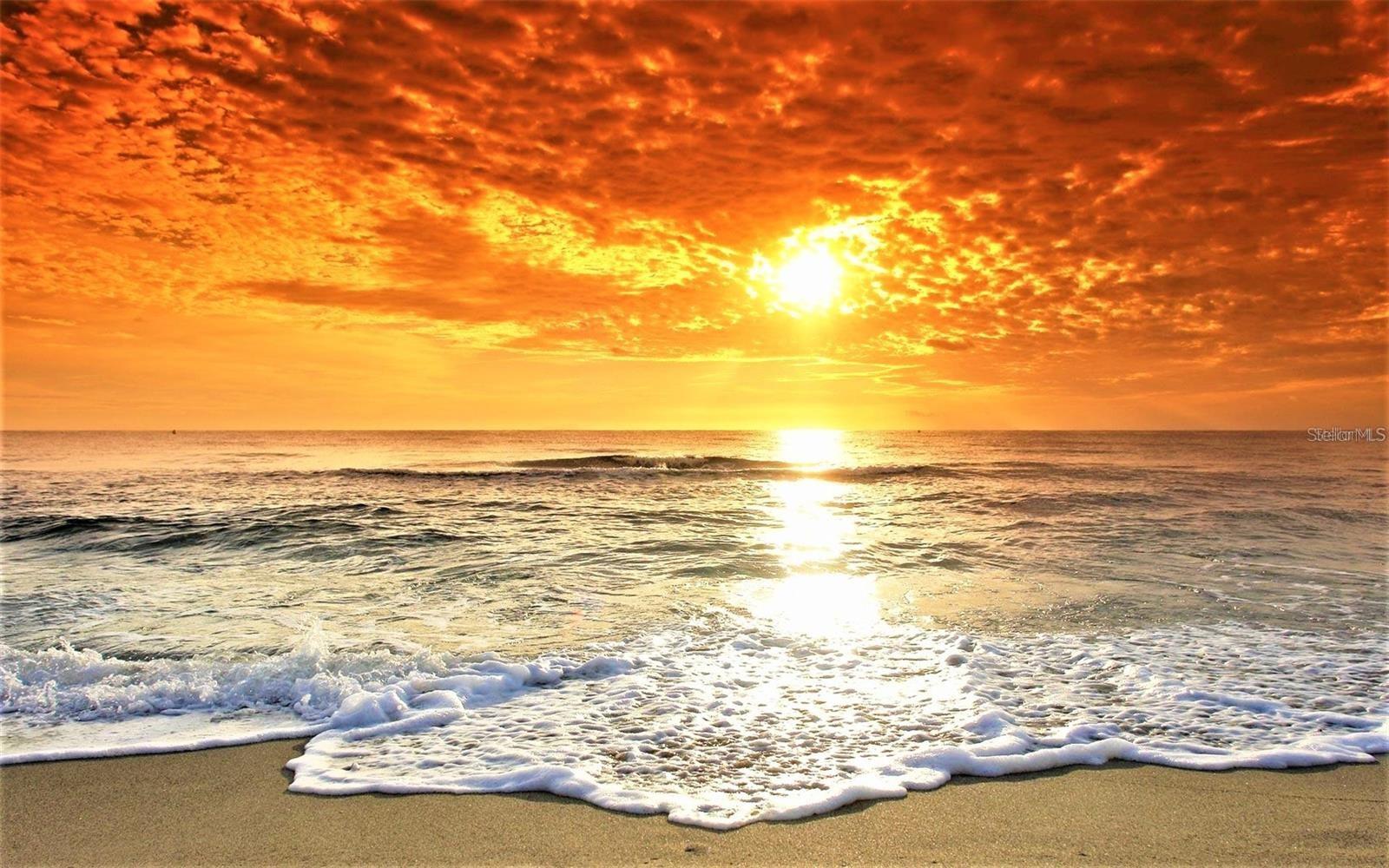 Image 59 of 61 For 2068 Sifield Greens Way