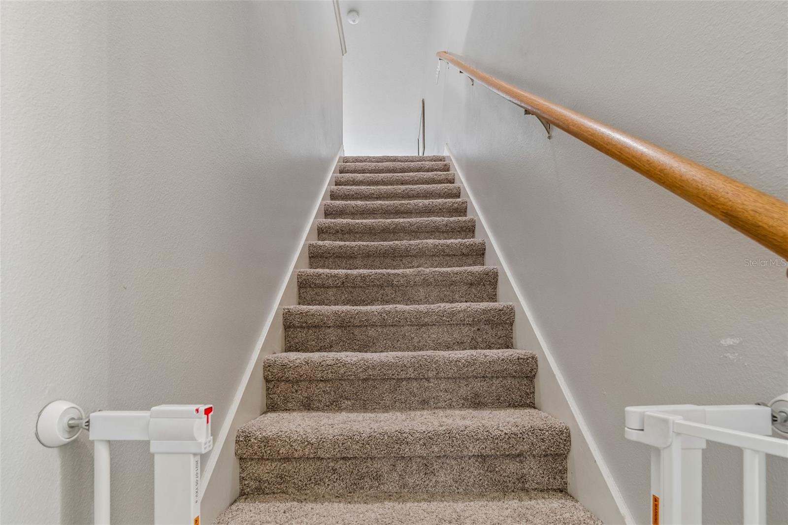 Image 50 of 100 For 2336 Nesslewood Drive