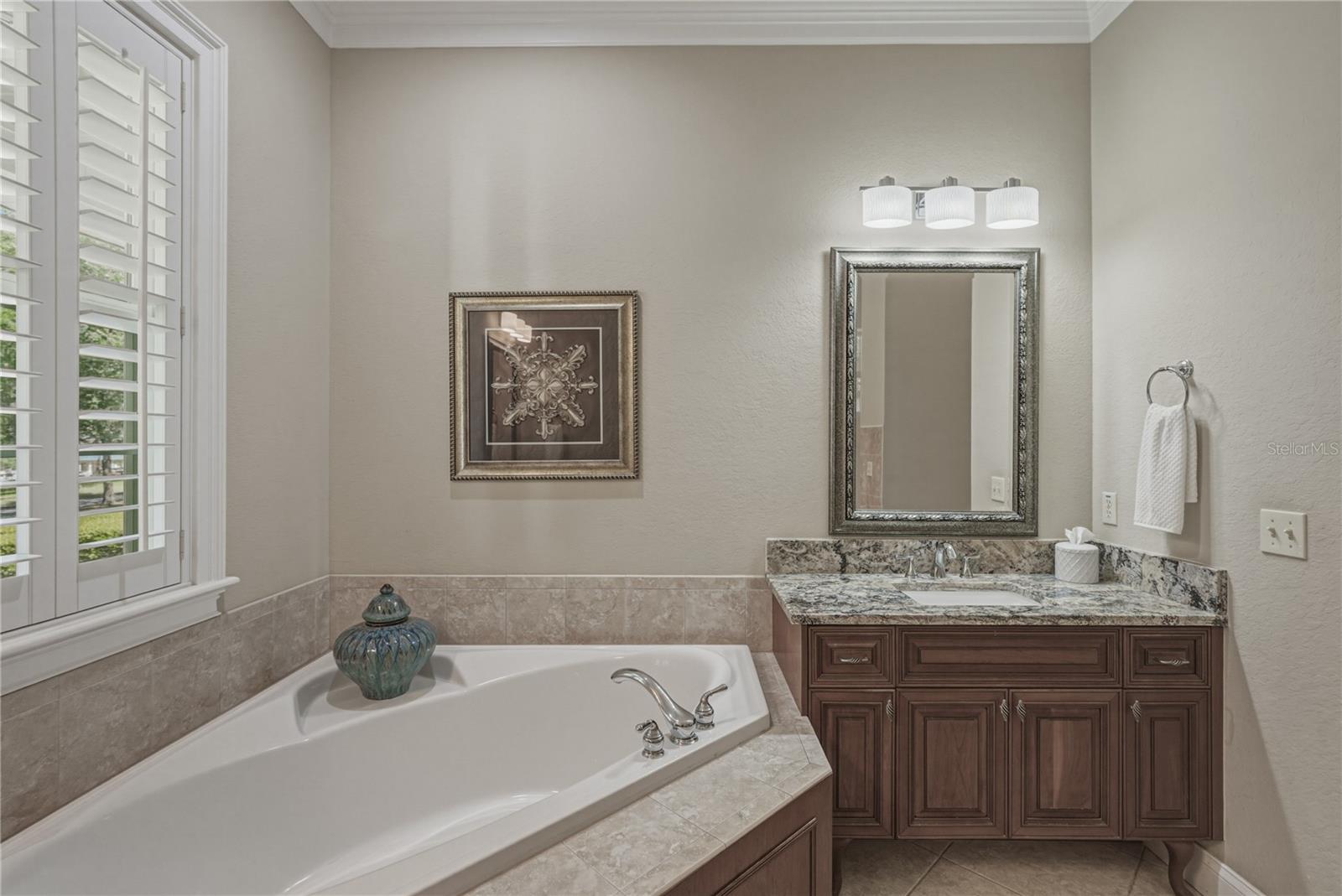 Image 39 of 72 For 810 Savannah Oaks Drive