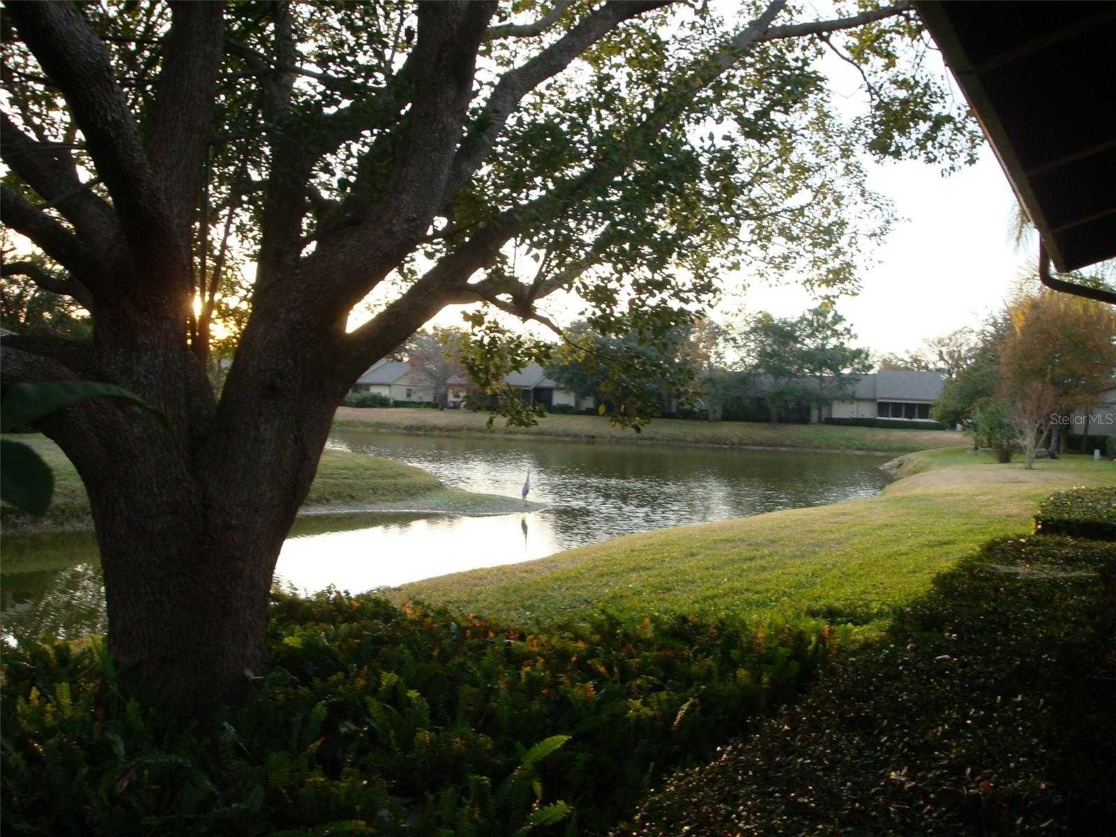 Image 23 of 25 For 70 Joanne Place 70