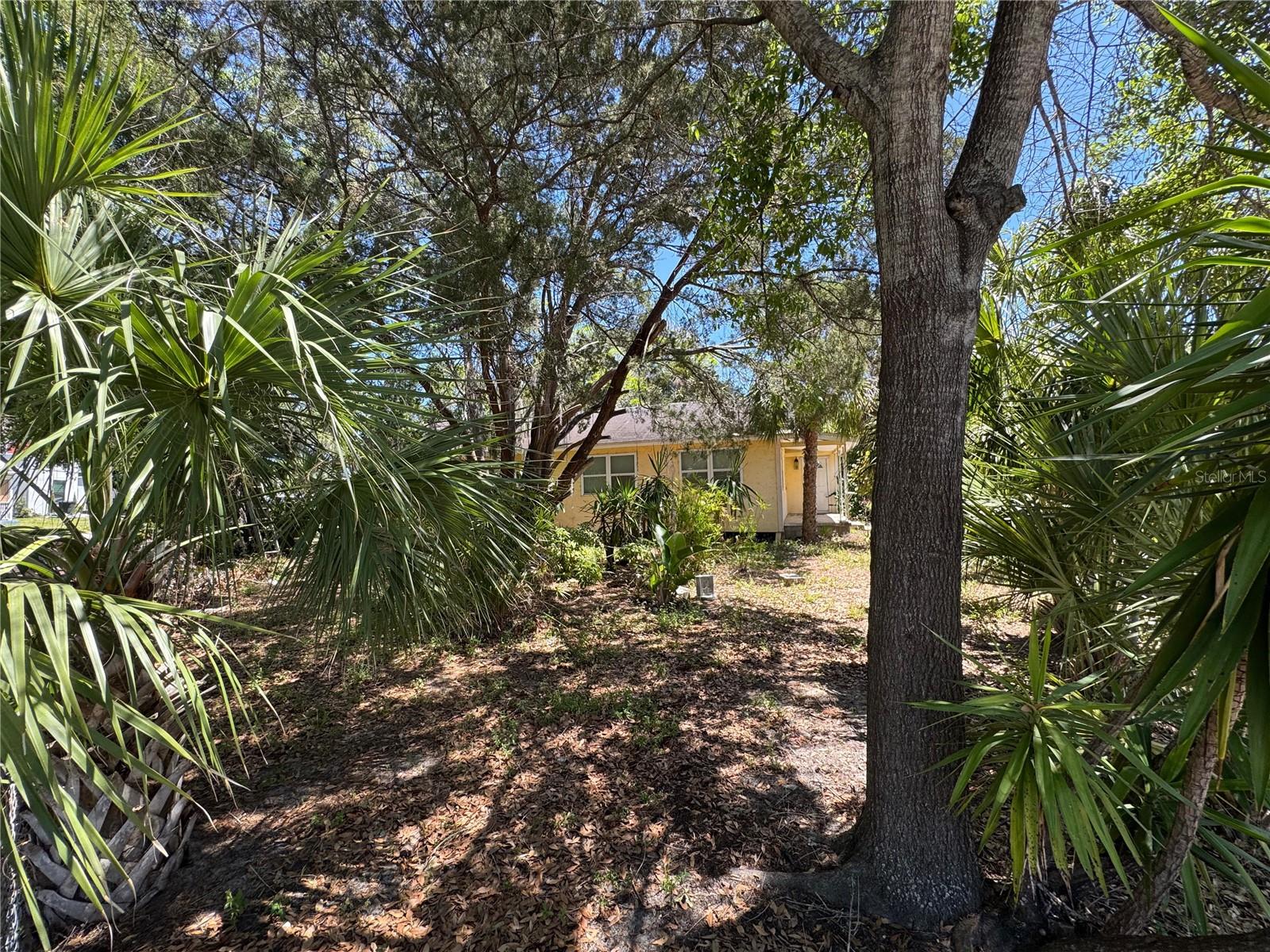 Image 12 of 29 For 72 Ada Street