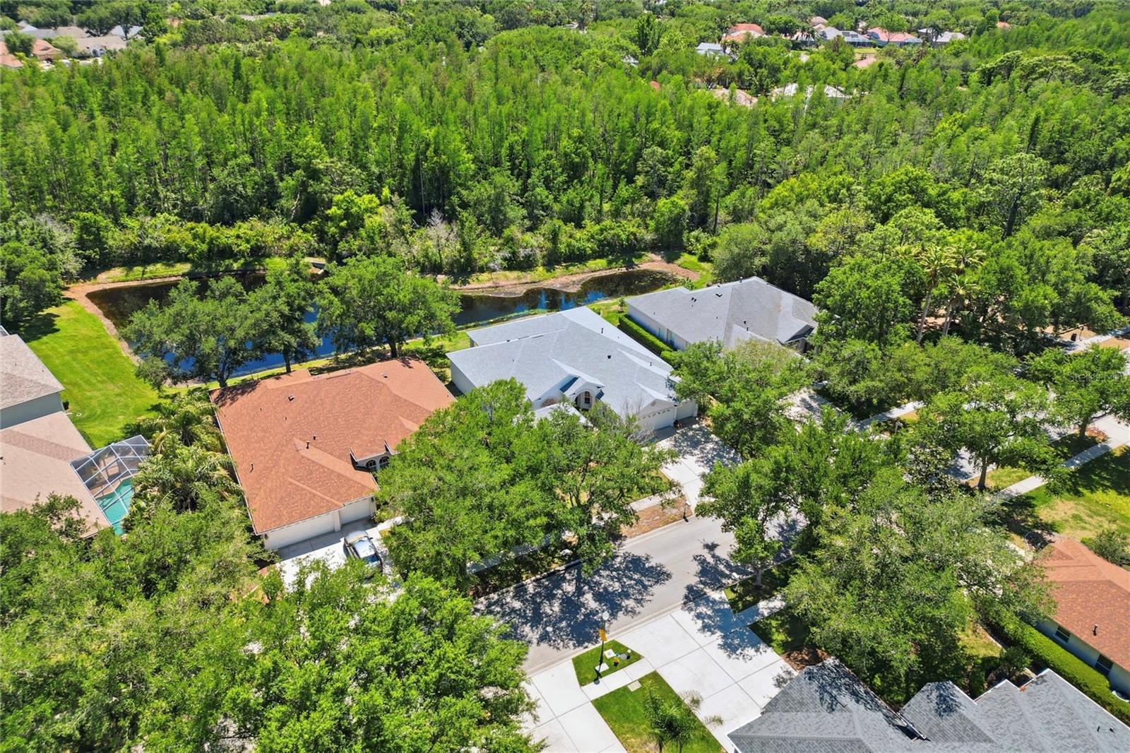 Image 5 of 88 For 10206 Shadow Branch Drive